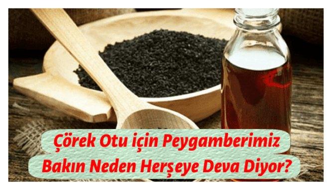 Çörek Otu için Peygamberimiz Bakın Neden Herşeye Deva Diyor?