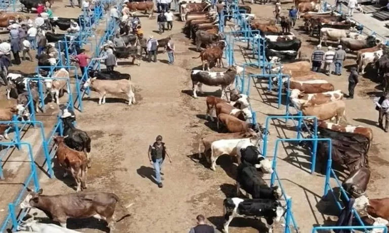 Tüm 81 ilde uygulanmak üzere kapsamlı bir yasak kararı alındı