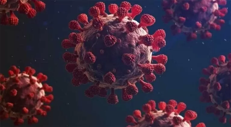 Aşı olanlara dair yeni bilgiler aktarıldı