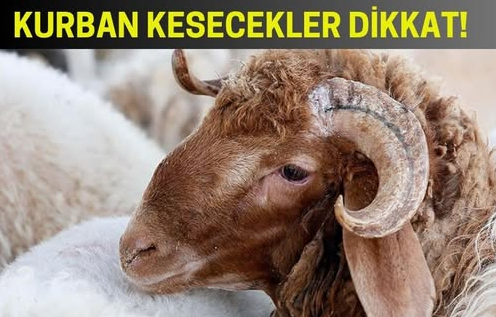 Kurban ibadetiyle ilgili doğru bilinen birçok yanlış bulunuyor