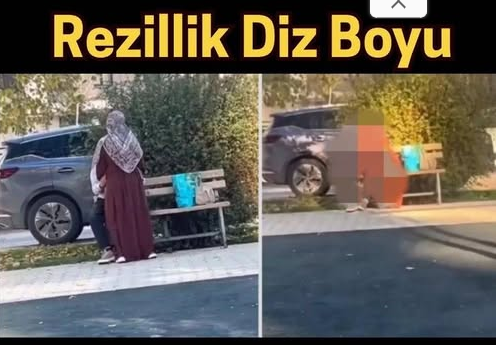Parktaki skandal görüntüler infial yarattı